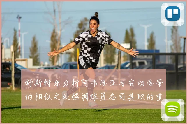 舒斯特尔分析阿韦洛亚与安切洛蒂的相似之处强调球员各司其职的重要性